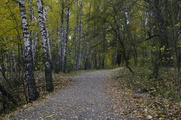 Дорожка осени / Утро осеннее