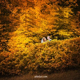 Autumn wedding photo / ***