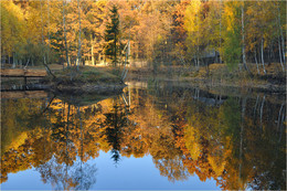 Осенний пруд / Осень. Пора листопада