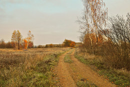 в ноябре / маленький туман, осень, тоскливая погода