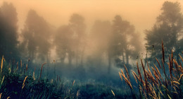 Сны Приэльбрусья / Туман на закате близ посёлка Терскол, Приэльбрусье, КБР.
http://www.youtube.com/watch?v=txQ6t4yPIM0