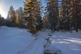 Зимняя речка / Вечер в лесу