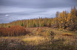 Октябрьская осень / Осень в Средней полосе