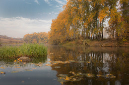 Золотая осень Gipanisa. / Национальный природный парк &quot; Бугский Гард&quot;. Украина. Река Южный Буг.