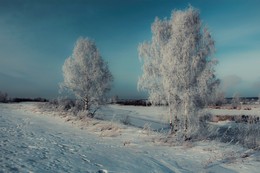 &quot;Белые березы в морозной бирюзе&quot; / Белые березы в морозной бирюзе (Окрестности ЗАТО г. Железногорск, Красноярский край, река Енисей)