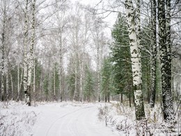 Зима пришла / Не первый, но второй снег