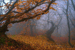 Там лес и дол видений полны; / Крым, горы, осень, Демерджи