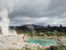 Вдоль и поперёк / Te Puia, New Zealand