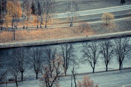 Вдоль и поперёк / У неба пепельный цвет а у деревьев белый..