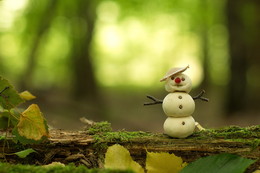 Летний снеговик / Сделан из грибов дождевиков
