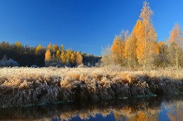 Золотая осень / Золотая осень