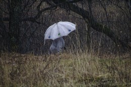 &nbsp; / Встреча во время прогулки.