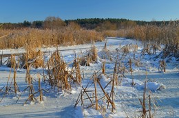 Морозец / Морозец