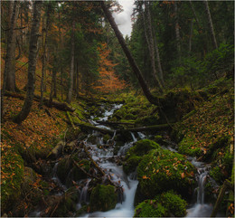 Осенний ручей / В красивом осеннем лесу спешит по своим делам ручеек. По дороге на Бадукские озера