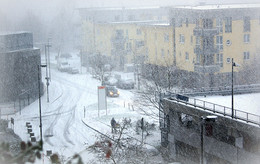 У природы нет плохой погоды / Зима в Кёльне редкость. 2012 год вид с балкона