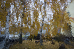 Осенние дождики / На стекле авто