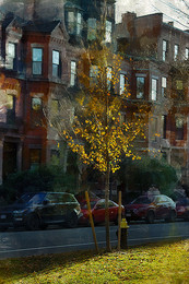 *Краски осеннего Бостона* / фотоимпрессионизм