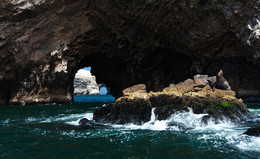 Острова Балестас / Национальный парк Паракас и острова Балестас, Перу