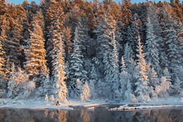 Вечерние сказки природы / Зима -долгое и холодное время года Хотя она и красиво наряжает природу.Ее называют ласково зимушка...