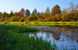 Осень на Березине / Осень на Березине