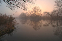 Розовый рассвет Gipanisa. / Река Южный Буг. Украина.