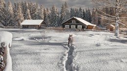 Завалило снегом нашу деревню... / Ноябрь на Вологодчине...
