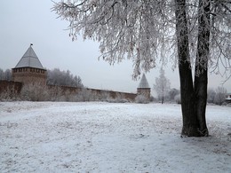 Зима.Смоленск / Зимний денёк около Смоленской крепости