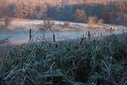 Ноябрьское утро / Снято 6 ноября на реке Красивая Меча в Тульской области под дер.Шилово.