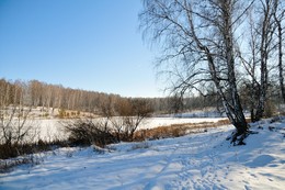 Зимняя зарисовка. / Зима.