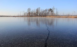 Озеро среди болот / Волынская область.Болото Червищанское.