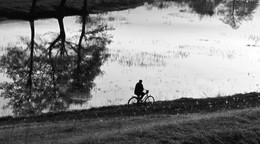 &nbsp; / Человек, велосипед, пруд
