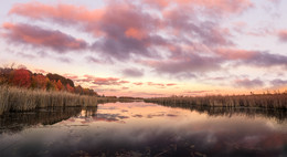 Sunrise @ Mer Bleue Bog / transparent Autumn