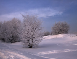 Зимой в Коломенском / * * *