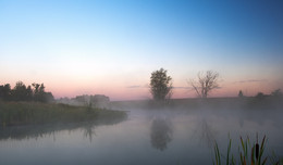Рассвет,туман / Раннее утро на деревенском пруду.......