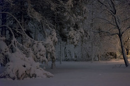 Что то похожее на зиму / Снег пока он есть в своей красе

Sony A7 55 1.8 z (f 1.8 iso 3200)
