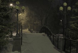 ночь в парке / зимняя ночь в парке