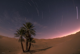 В песчаных степях марокканской земли... / Марокко. Ночная съемка 110 снимков. Сводил в Startrails
