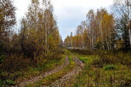 Осенняя зарисовка. / осень, природа