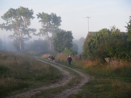 05:08 - трудовой день сельчан уже идет ... / Раннее утро в деревне ...