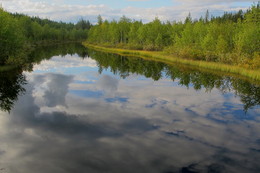 В реку смотрятся облака / В 2011 году была на родине, ездили в Заповедник КУТСА, девственная природа,река Кутса и озеро.