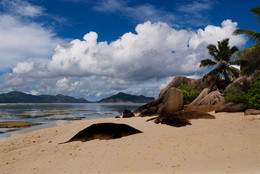 В тропическом раю / Остров Ла-Диг, Сейшельский архипелаг