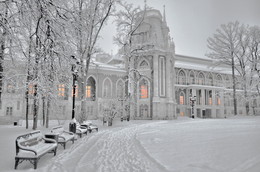 Морозный день / Парк Царицыно Январь 2014 год ,Дворец Екатерины .