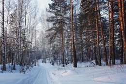 Холодным утром. / ***