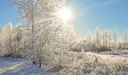 купание солнца / зима, в инее деревья, серебром одетые