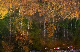 Отражение осени / Осень в таежной речке