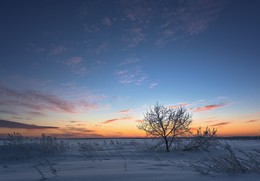 Предрассветная тишина. / ***