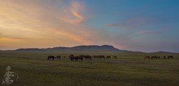 Папа горы / Папа горы, Папа горы Uvurkhangai