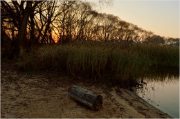 осенние сумерки / ***