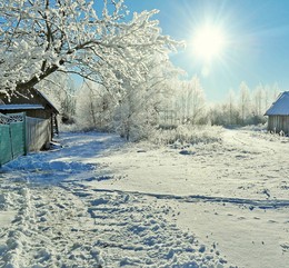 утренник / солнце неяркое, зима, утро, кругом иней