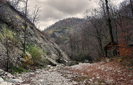 Прогулка в ноябре / Краснодарский край, пос. Полковничий